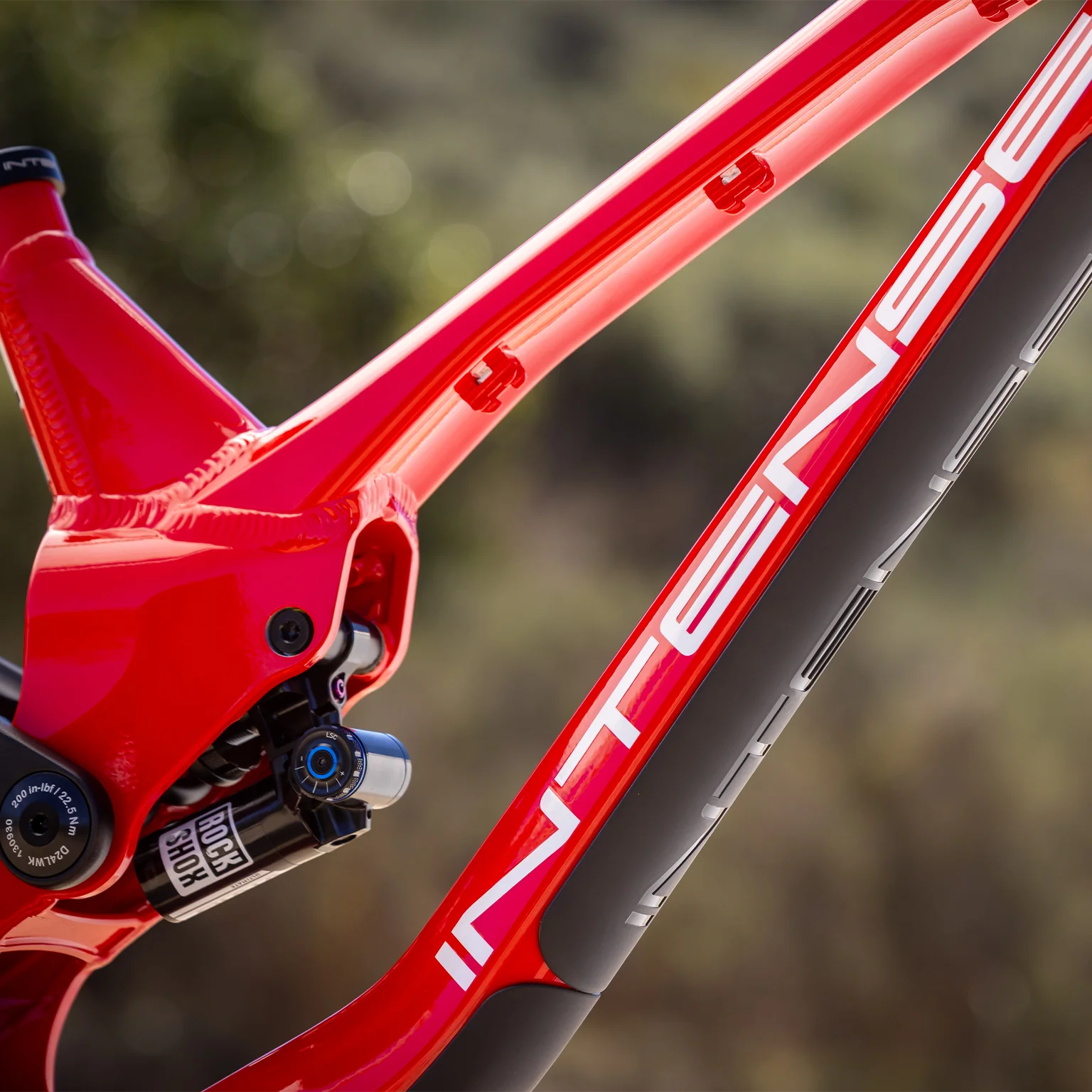 M1 FRAME RED - Image 7