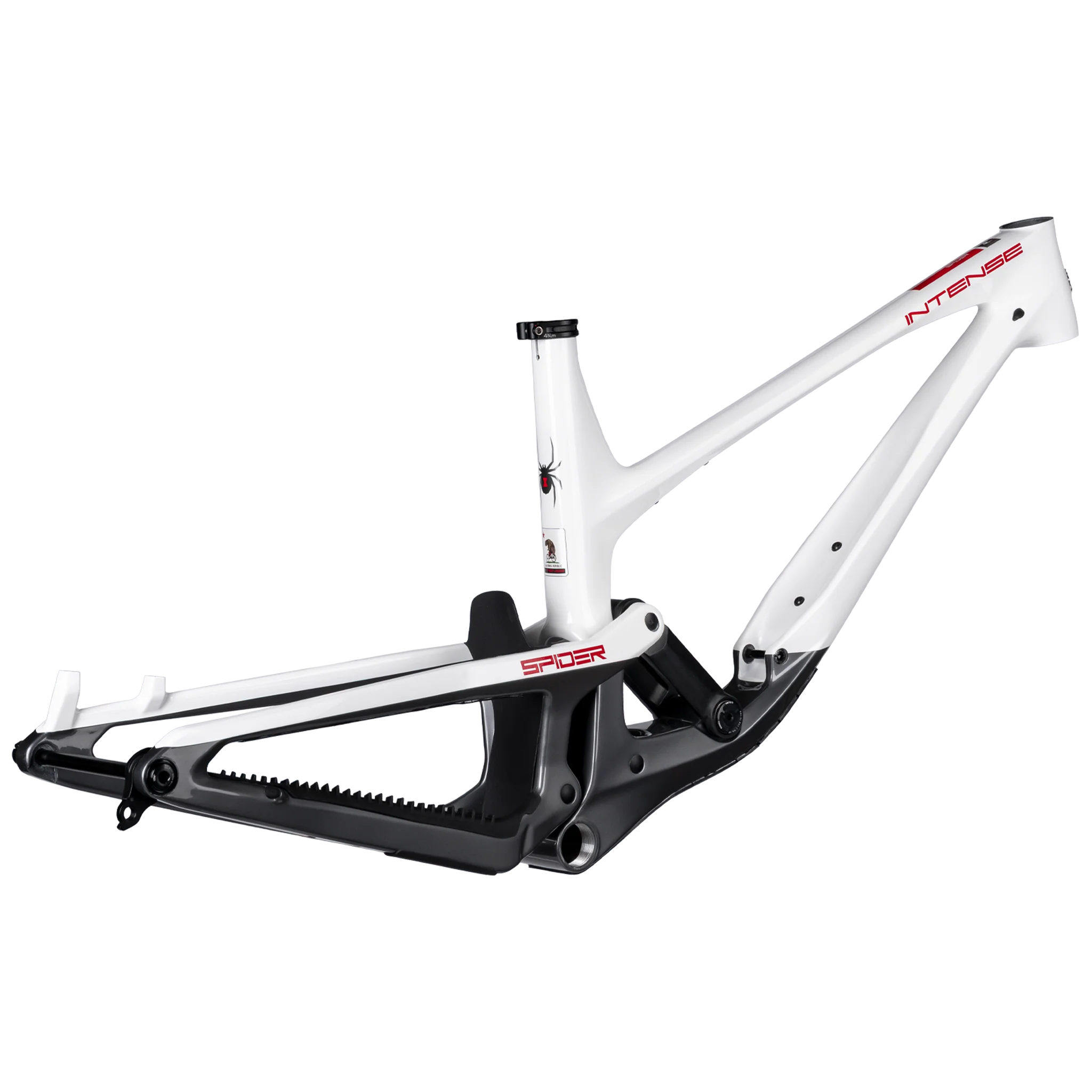 SPIDER FRAMESET - Image 3