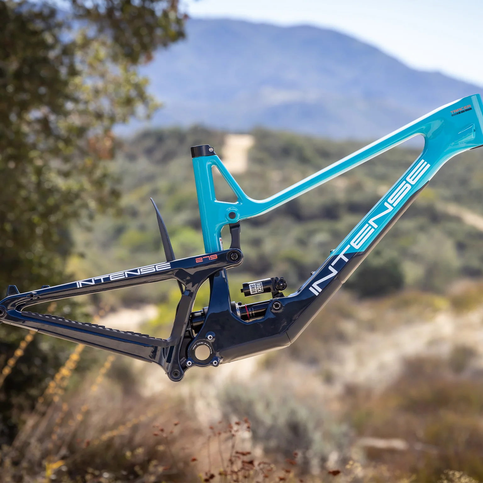 TRACER 279 FRAME BLUE - Image 6