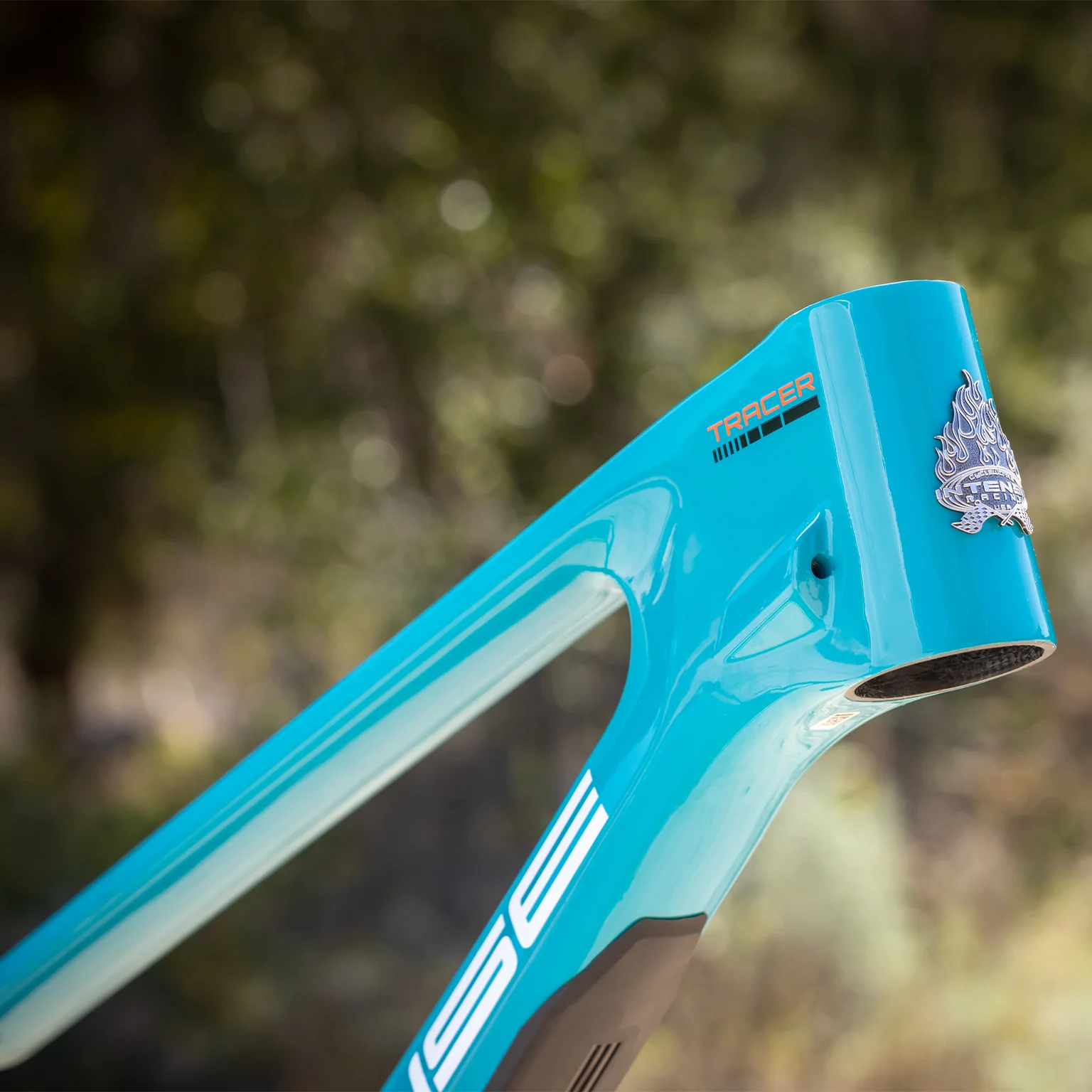 TRACER 279 FRAME BLUE - Image 9