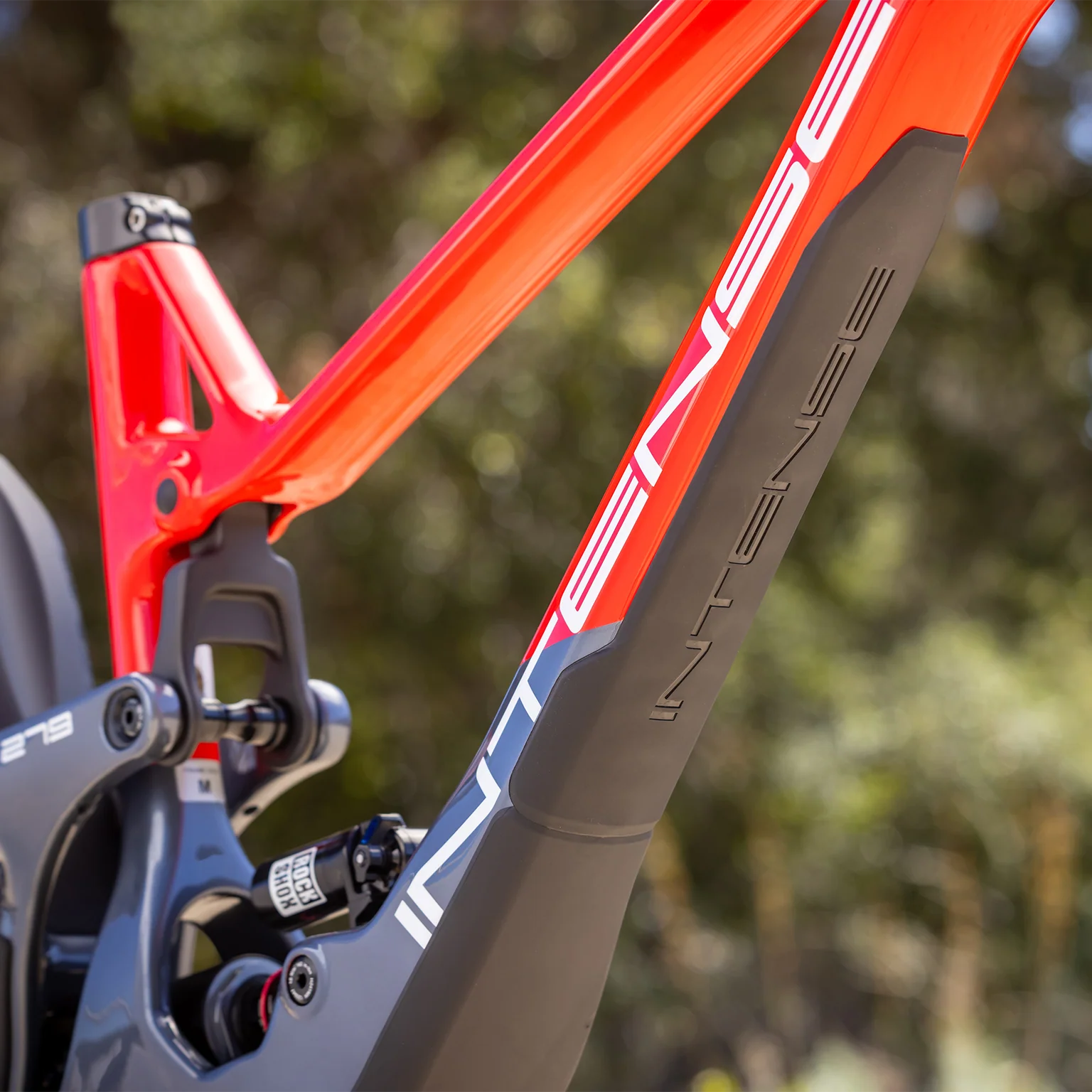 TRACER 279 FRAME RED - Image 11