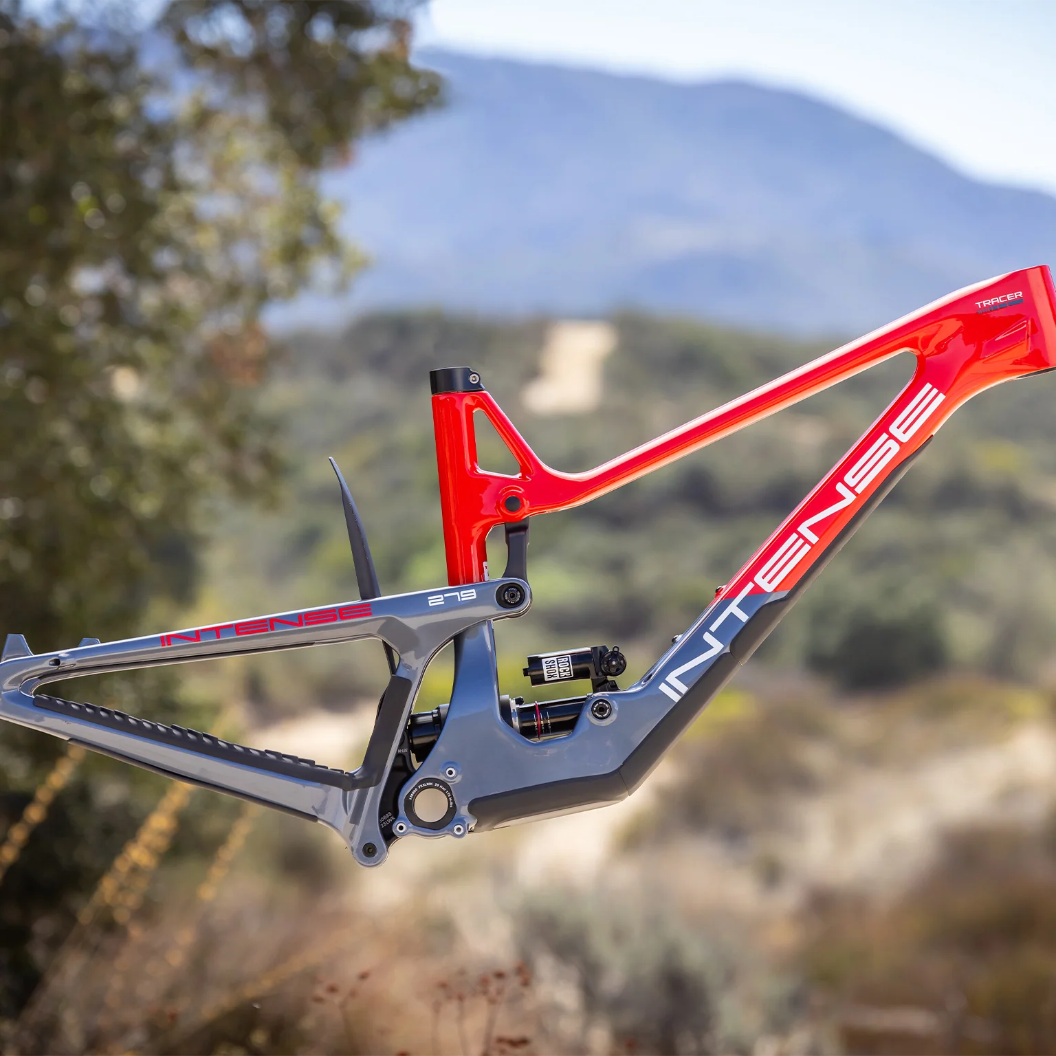 TRACER 279 FRAME RED - Image 6