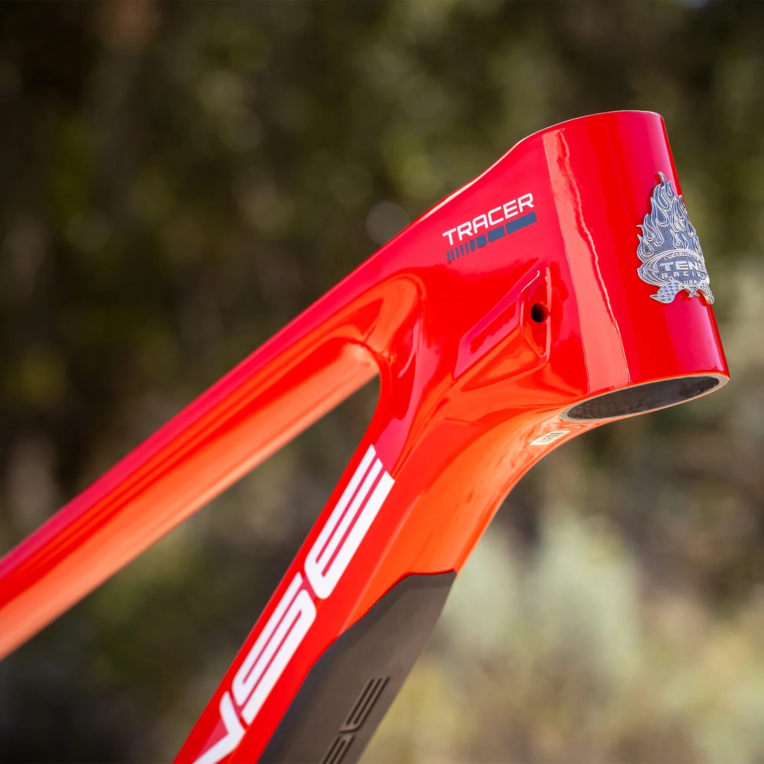 TRACER 279 FRAME RED - Image 9