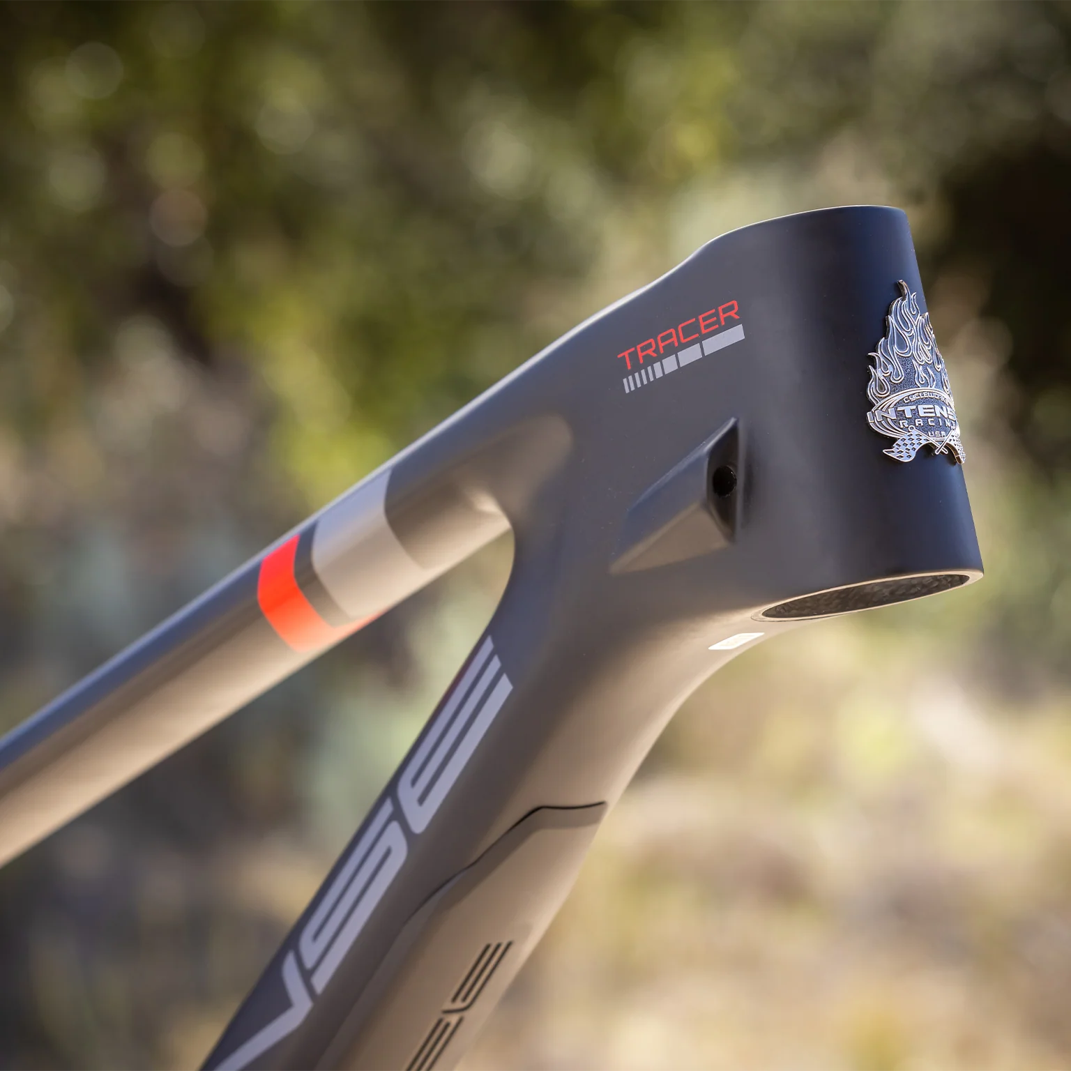 TRACER 29 FRAME SATIN BLACK - Image 9
